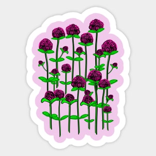 Globe amaranth flowers Sticker